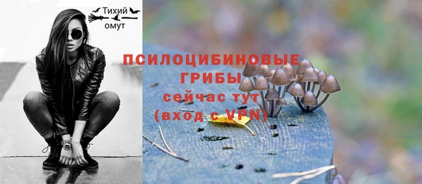 меф Дмитровск