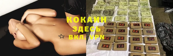 прущая мука Дмитриев