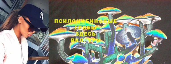 мяу мяу мука Заводоуковск