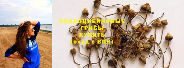 прущая мука Дмитриев