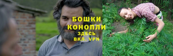 кокс Дмитров