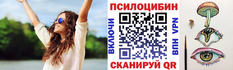 Псилоцибиновые грибы GOLDEN TEACHER  цена   Заполярный 